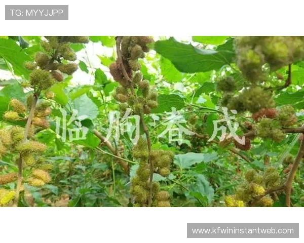 凯发娱乐集团会员注册步骤指南让你快速成为会员 凯发娱乐集团会员注册步骤指南让你快速成为会员